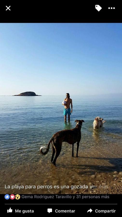Altea, Callejeando Por Su Casco Antiguo. Εξωτερικό φωτογραφία